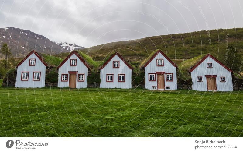 Wohntraum :)  Grassodenhäuser in Nordisland grasbewachsen Grasdach Museum Museumshof Haus Hütte Architektur Kulturerbe Geschichte alt museum geschichte