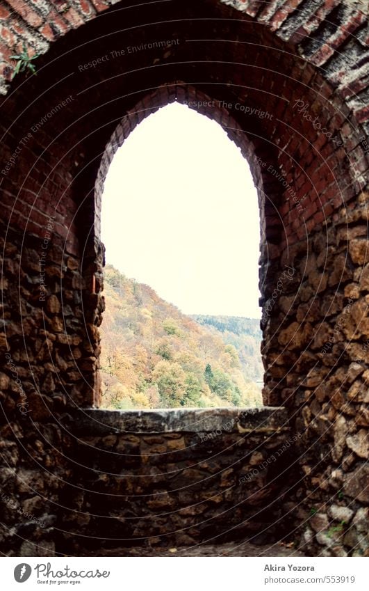 Burgaussicht Natur Landschaft Himmel Herbst Baum Wald Berge u. Gebirge Burg oder Schloss Ruine Bauwerk Gebäude Mauer Wand Fenster Denkmal beobachten alt