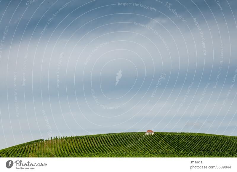 Winzerhaus Kaiserstuhl Idylle Hütte Hügel Weinberg Schönes Wetter Sommer Himmel Landschaft Natur Landwirtschaft ländlich Weinbau Haus Weinreben Weinstöcke