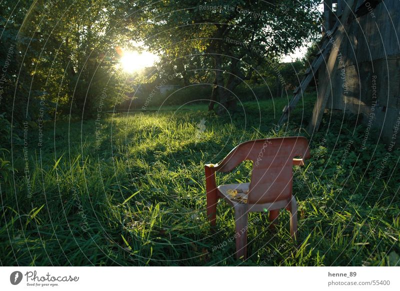 Ein Platz an der Sonne Sonnenaufgang Wiese Gartenstuhl Plastikstuhl Licht Baum Lichtschein