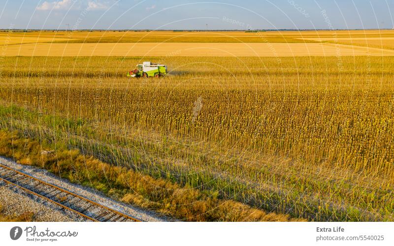 Luftaufnahme von Mähdrescher, Erntemaschine erntet reife Sonnenblume oben Antenne landwirtschaftlich Ackerbau Agronomie Müsli Land kultiviert Bodenbearbeitung