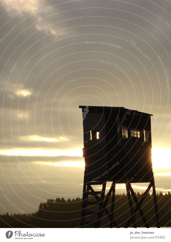 Jägerstand Himmel Sonnenuntergang Wald Gegenlicht jägerstund hunter sky clouds forest back licght Jagd