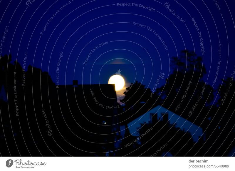 Der Vollmond ist aufgegangen. Mondaufgang Außenaufnahme Farbfoto Natur dunkel Nachthimmel Menschenleer Licht Stimmung leuchten Himmel Lichterscheinung Schatten
