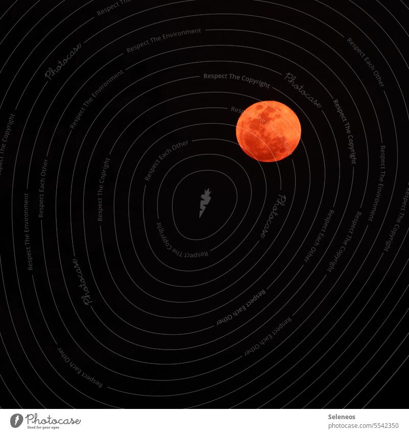 Bloody moon Mond Blutmond Nacht klar Vollmond Himmel Natur Außenaufnahme Farbfoto rot dunkel Nachthimmel Menschenleer Mondschein Stimmung Lichterscheinung