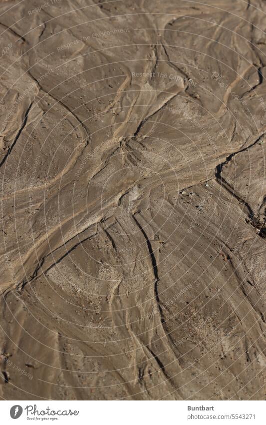 Ausgetrocknete Wasserläufe im Sand Spuren wasserlauf Kieselsteine Stein braun Muster Steine Detailaufnahme Strand Natur Hintergrund ausgetrocknet trocken