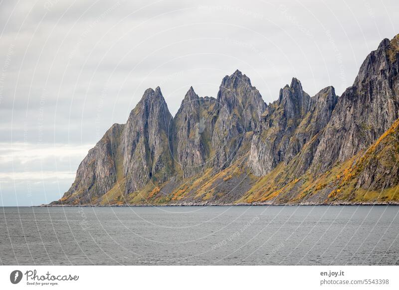 Die Teufelszähne auf Senja in Norwegen Insel Felsen Berge Meer Nordmeer Herbst bewölkt Reisefotografie Skandinavien Ferien & Urlaub & Reisen Polarmeer