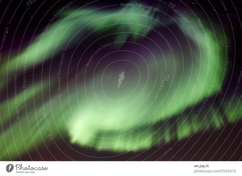 Polarlichter über Reine Nordlicht aurora borealis Lofoten Norwegen Naturphänomen Reinefjorden Aurora Nacht dunkel Erscheinung Nachtaufnahme leuchten Licht grün