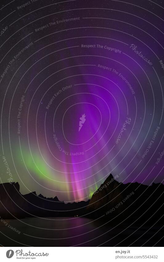 Polarlichter über Reine Nordlicht aurora borealis Lofoten Norwegen Naturphänomen Reinefjorden Aurora Nacht dunkel Erscheinung Nachtaufnahme leuchten Licht grün