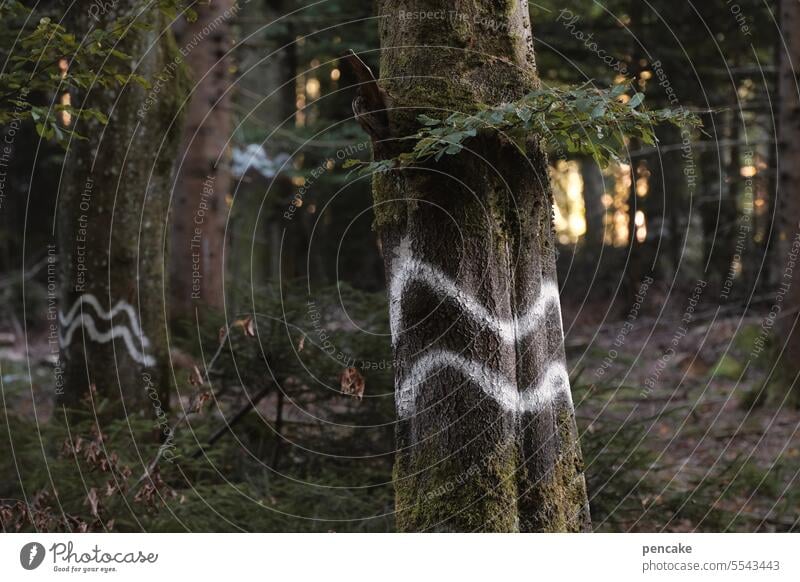 symbol für | weichspüler Wald Baum Baumstamm Symbol Welle Umwelt Natur Bäume Abholzung Klima Nutzholz Forstwirtschaft Holz Landschaft Umweltschutz Naturschutz