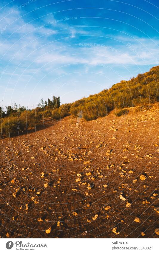 Natürliche Umwelt Porträt Landschaft Natur Himmel Blauer Himmel Wald Felsen Steine Landschaften Naturschutzgebiet im Freien Außenaufnahme Szene