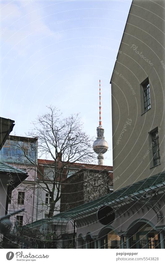 Berliner Hinterhof Berliner Fernsehturm hinterhofidyll hinterhofidylle Alexanderplatz Wahrzeichen Sehenswürdigkeit Hauptstadt Turm Großstadt Mauer Hof Himmel