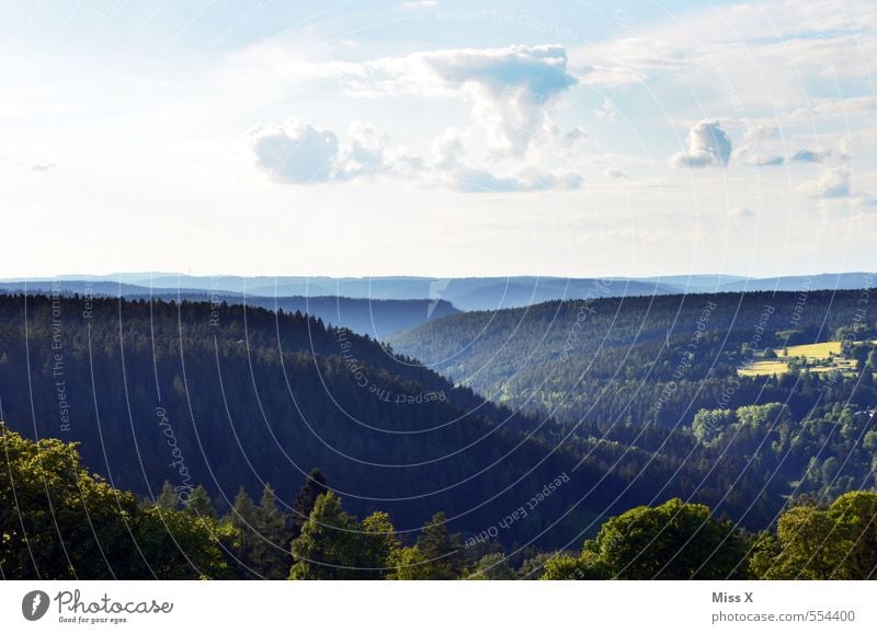 Schauindenschwarzwald Ferien & Urlaub & Reisen Ausflug Ferne Berge u. Gebirge wandern Natur Landschaft Himmel Sommer Schönes Wetter Nebel Baum Wald Hügel