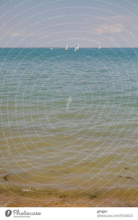 Am Meer auf See Atlantik Segelschiffe Wasser Wasserfahrzeug Himmel Segelboot Segeln Ferien & Urlaub & Reisen Schifffahrt Sommer Freiheit Außenaufnahme Horizont