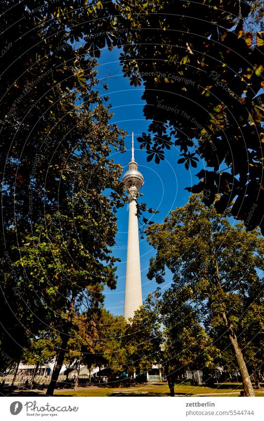 Fernsehturm (versteckt) alex Alexanderplatz architektur Berlin büro Großstadt deutschland froschperspektive funk-und-ukw-turm Gebäude Hauptstadt Haus Himmel