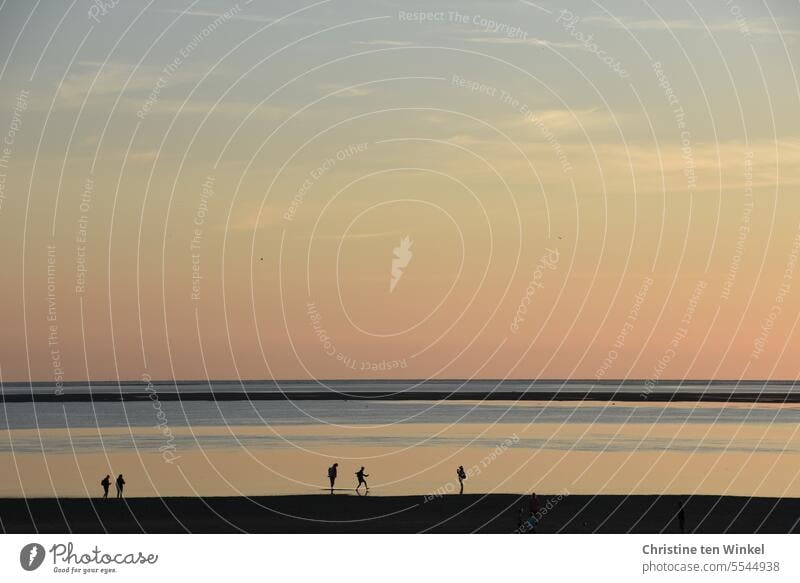 typisch deutsch | Nationalpark Wattenmeer Strandspaziergang Nordsee Nordseinsel Niedrigwasser Horizont Gezeiten Küste Meer Ferien & Urlaub & Reisen Natur Sommer