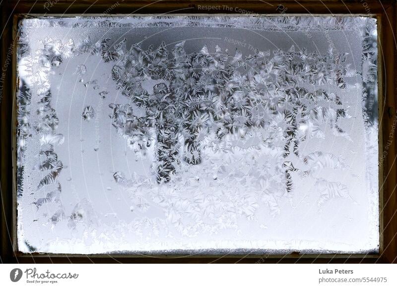 Fenster mit Holzrahmen, das Glas ist vereist, man sieht sog. Eisblumen. Blumen Winter kalt Norden Schweden Strukturen Frost frieren Ferien & Urlaub & Reisen