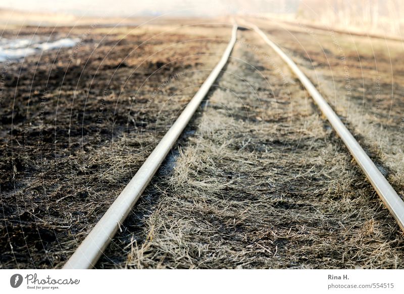 SchmalSpur Umwelt Natur Landschaft Erde Horizont Herbst Winter Gras Moor Sumpf Schienenverkehr Gleise kalt braun gelb Einsamkeit Ferne Ziel Schmalspurbahn