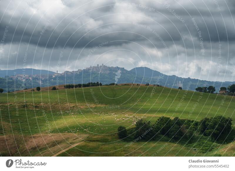 Ländliche Landschaft in der Toskana bei Turrita di Siena Europa Italien Montefollonico Torrita di Siena Ackerbau Farbe Tag Hügel Natur Fotografie ländlich