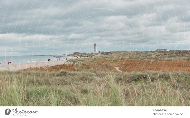 Leuchtturm an Strand von Skagen Leuchturm Küste Wasser Himmel Sand Nordsee Landschaft Tourismus Ferien & Urlaub & Reisen Natur Meer Wolken Außenaufnahme