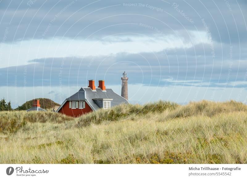 Haus und Leuchtturm in den Dünen Dänemark Skagen Jütland Ostsee Landschaft Natur Urlaub reisen Tourismus Ruhe idyllisch Idylle Ferien & Urlaub & Reisen Küste