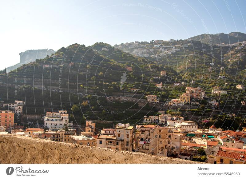 Wo die Zitronen blühn Panorama Süden Dorf malerisch Italien Hafenort Küste Südküste Kampagnien mediterran Hügel grün Plantage Zitronenhain Zitronenplantage Hang