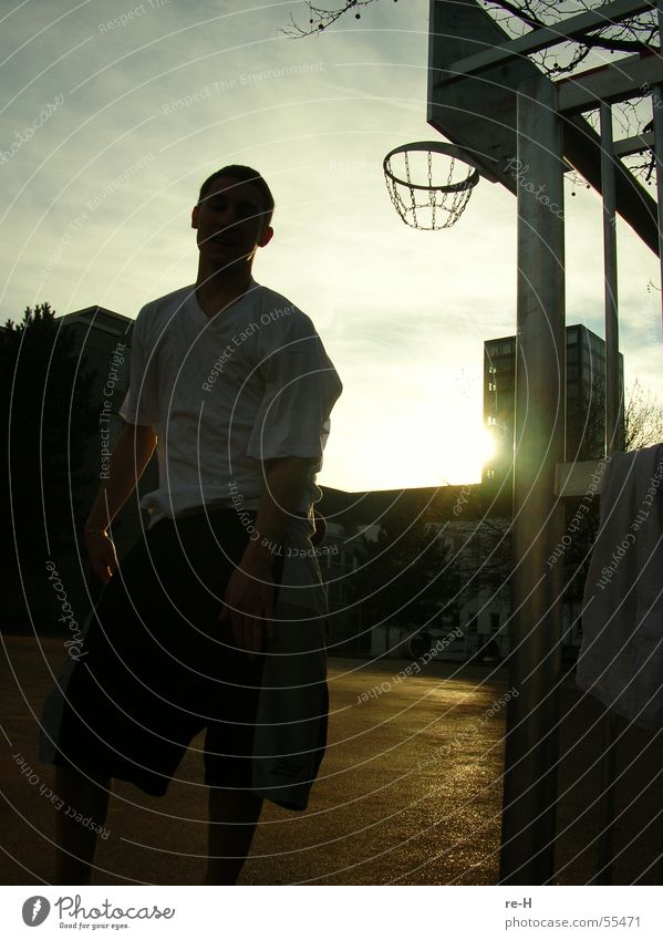 ballin Spielen Korb Basketball basektball Sonne Mensch Sport