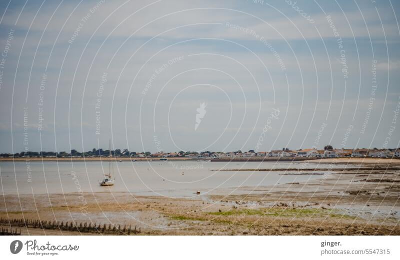 Küstenlandschaft - Île de Ré, Frankreich Meer Himmel Landschaft Tourismus Farbfoto Ausflug île de ré Ferien & Urlaub & Reisen Atlantikküste Natur Tag Sommer