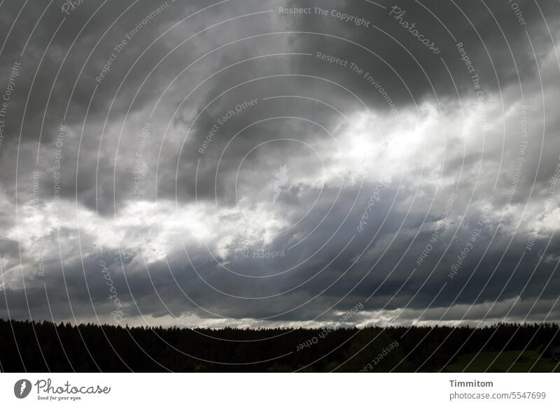 Dunkle Wolken über schwarzem Schwarzwald Wald Bäume Wipfel Fichten wolken dunkel Himmel Natur Umwelt Wetter Menschenleer Farbfoto hell und dunkel