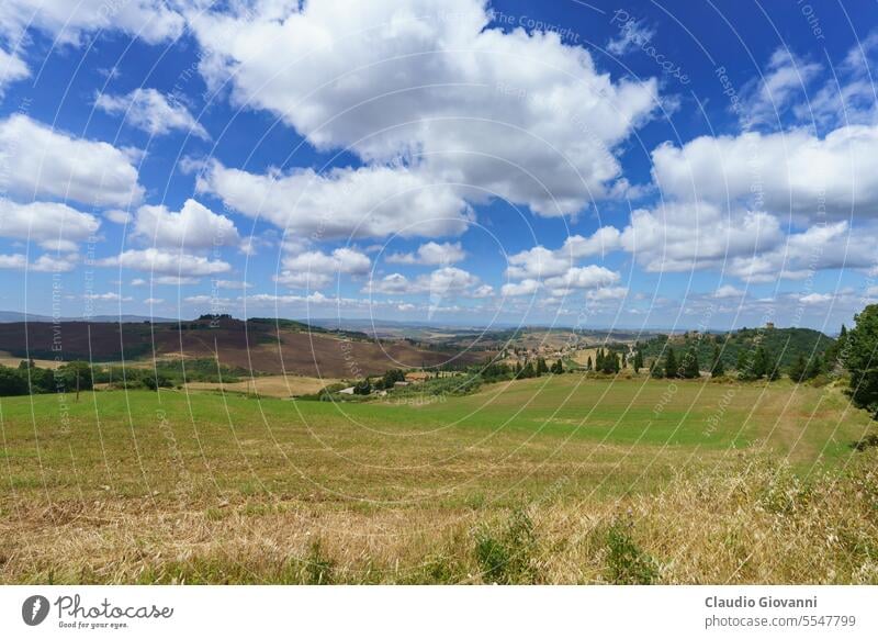 Ländliche Landschaft in der Toskana bei Pienza Europa Italien Montefollonico Siena Ackerbau Farbe Tag Bauernhof Feld Blume Hügel Haus Natur Fotografie ländlich