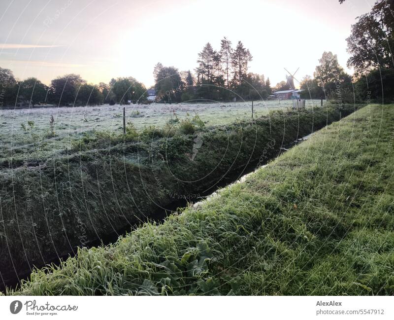 Morgenstimmung im Frühherbst, eine eingezäunte Weide mit Entwässerungsgraben im Vordergrund und Bäumen, Häusern und eine Windmühle hinter der Weide. früh