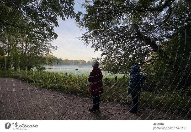 Zwei Kinder beobachten ein paar Kühe auf einer nebligen Weide am Morgen Kuh Wiese Nebel morgens Bäume anschauen Herbst herbstlich kalt Natur Landschaft