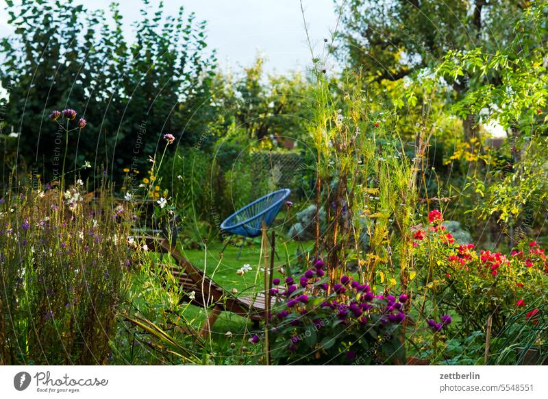 Garten im Spätsommer ast baum blühen blüte erholung ferien garten hecke himmel kleingarten kleingartenkolonie menschenleer nachbarschaft natur pflanze ruhe