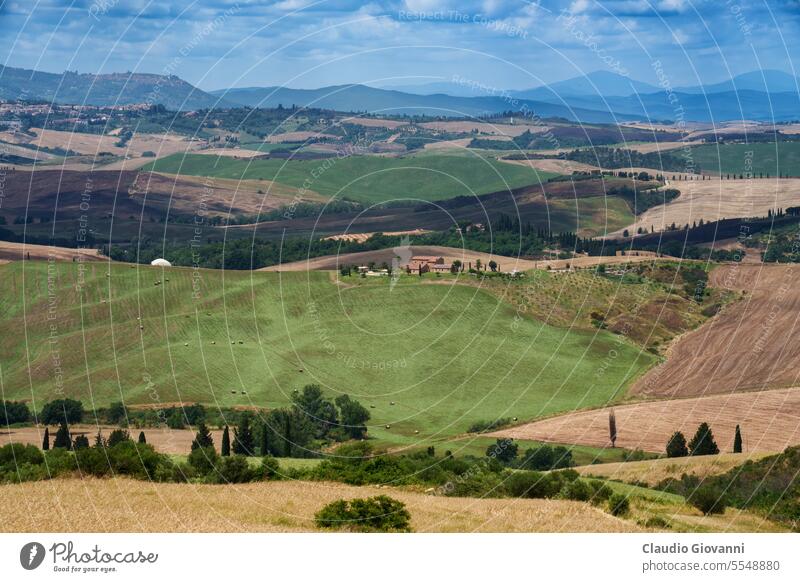 Ländliche Landschaft in der Toskana bei Pienza Europa Italien Monticchiello Siena Ackerbau Farbe Tag Bauernhof Feld Blume Hügel Haus Natur Fotografie ländlich