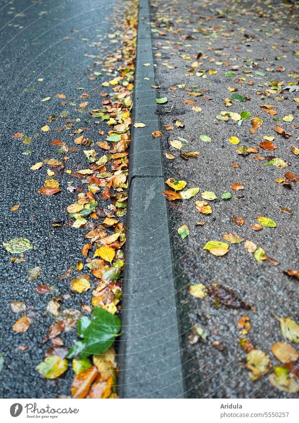 Nasses Herbstlaub auf der Straße und dem Gehweg Laub Fußweg Bordsteinkante Blätter gold-gelb Regen nass Regenwetter herbstlich Herbststimmung Asphalt grau