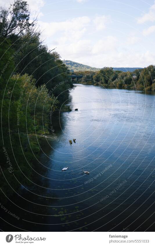 die Mosel bei Metz Fluss herbst schwäne Schwan blau Gewässer Wasser Bäume Gebüsch Hügel Landschaft vogel Vögel spaziergang Frankreich