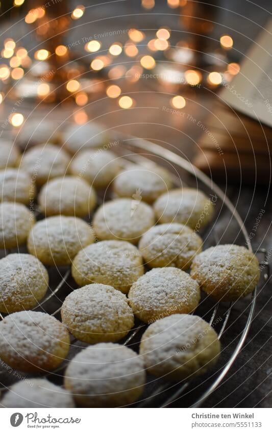 Die Weihnachtsbäckerei beginnt Weihnachtsplätzchen Plätzchen sebstgebacken Vorfreude Weihnachtsgebäck Weihnachten & Advent Lebensmittel Kekse Adventszeit lecker