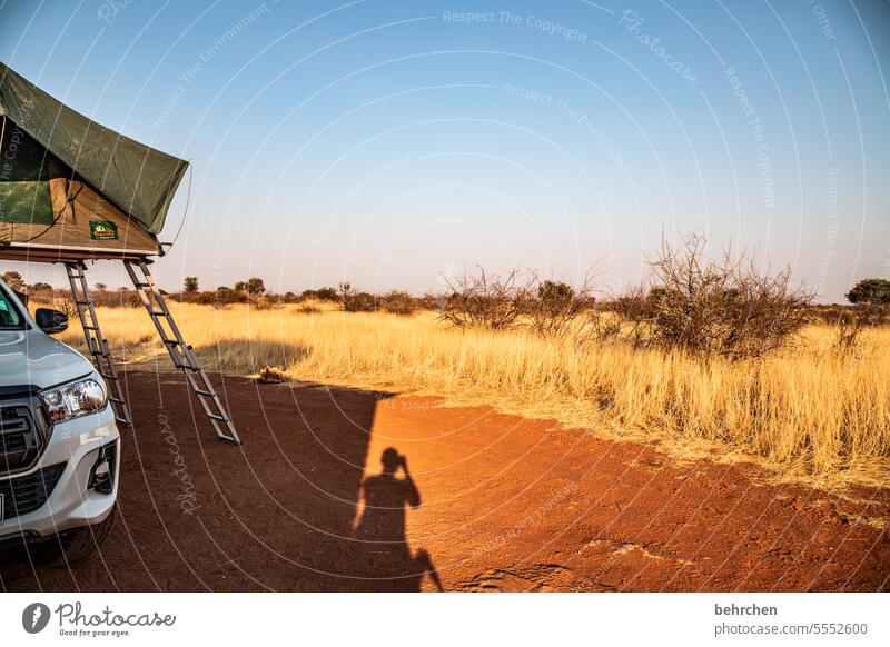 ich hab echt nen schatten! Himmel Wärme traumhaft besonders Abenteuer Ferien & Urlaub & Reisen Einsamkeit Natur Landschaft Afrika Namibia Ferne Fernweh Farbfoto