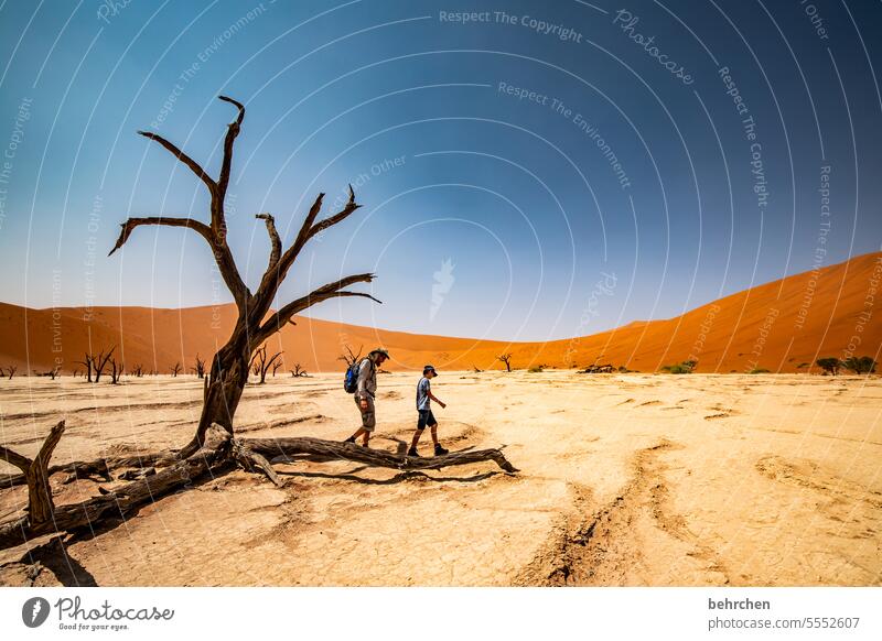 lieblingsort Düne besonders reisen beeindruckend Dünen sanddüne Trockenheit Akazie Cool Coolness Vater und Sohn deadvlei Bäume tote bäume Himmel Dürre trocken