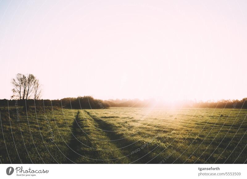 Emsland Sonnenaufgang Naturschutzgebiet auenlandschaft Landschaft Baum Wiese Himmel Farbfoto Außenaufnahme Herbst Auen Morgen Gras Sonnenlicht Norddeutschland