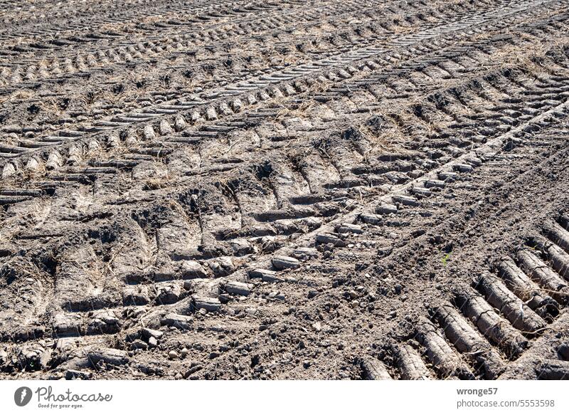 Reifenspuren auf einem abgeernteten Feld Ackerland Traktorspur Ernte Erntezeit abgeerntetes Feld Landwirtschaft Ackerbau Außenaufnahme Erntemonat diagonal