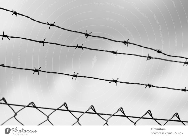 Zaun und Stacheldraht Maschendrahtzaun Barriere Stacheldrahtzaun Grenze Schutz bedrohlich Metall gefährlich stachelig Angst Schwarzweißfoto Menschenleer