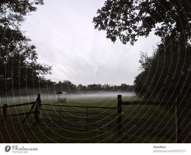 Eine Pferdekoppel am Abend im Nebel mit Futterkrippe hinter einem Weidezaun, umgeben von Bäumen und Sträuchern Koppel Pferdeweise Lattenzaun Zaun Begrenzung