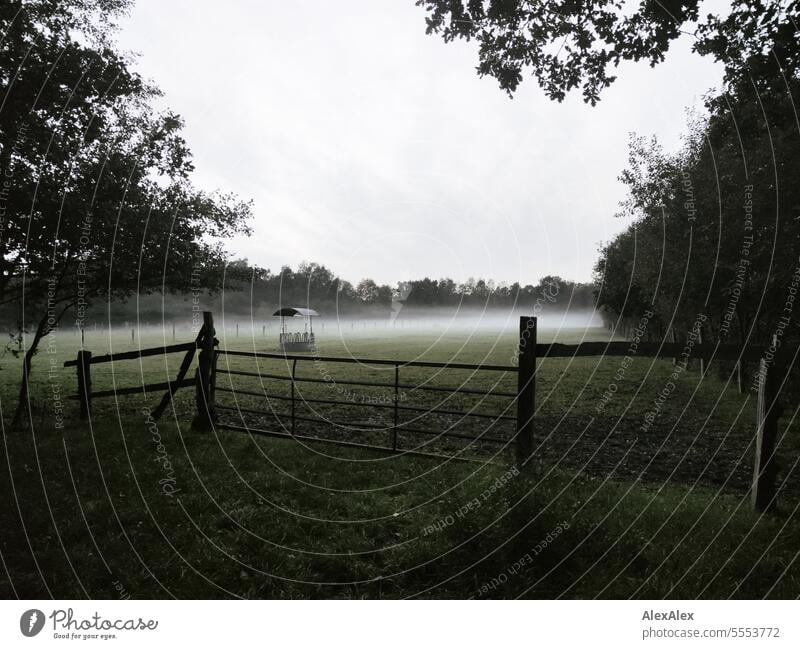 Eine Pferdekoppel am Abend im Nebel mit Futterkrippe hinter einem Weidezaun, umgeben von Bäumen und Sträuchern Koppel Pferdeweise Lattenzaun Zaun Begrenzung