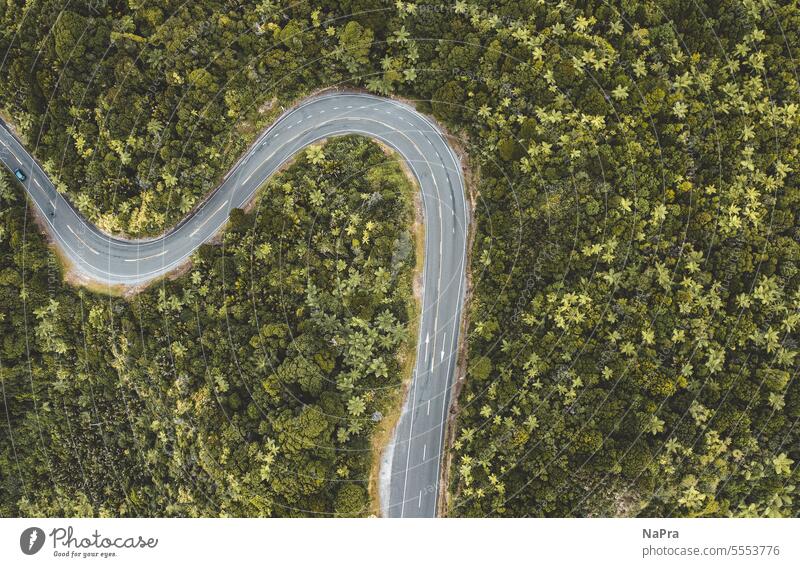 Haarnadelkurve Straße Kurve straßenkurve haarnadelkurve Wald Dschungel Asphalt schlangenförmig Schlangenlinie Landstraße Beton Drohnenansicht Landschaft Natur