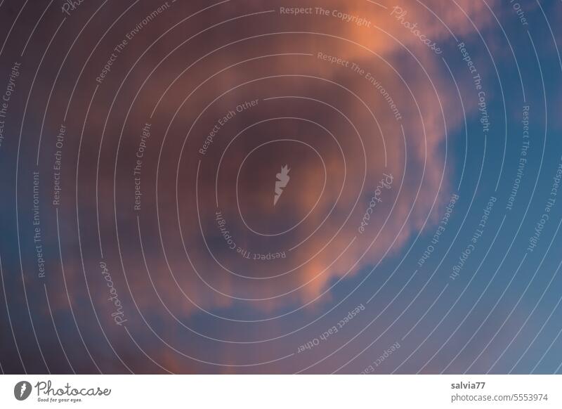 Wolken im Abendlicht Himmel Natur Abenddämmerung Stimmung ICM-Technik Ruhe weich Abendstimmung Licht Stille stimmungsvoll Lichtstimmung ruhig blau