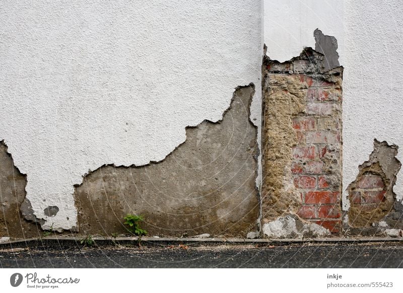 Mauer vs.Zeit | Punktsieg Menschenleer Ruine Wand Fassade Backsteinwand Putzfassade Beton Linie Riss Betonmauer Betonwand alt kaputt weiß Gefühle standhaft