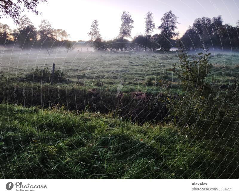 Eine Pferdekoppel am Abend im Nebel mit Weidezaun, umgeben von Bäumen und Sträuchern Koppel Pferdeweise Lattenzaun Zaun Begrenzung Nebelbank dunkel düster