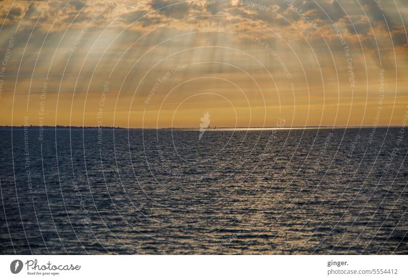 Licht über dem Meer Ausblick Wasser Wolkenspiel Atlantik blau Natur gold Sonnenstrahlen Panorama (Aussicht) Farbfoto Umwelt Sommer gelb orange Wetter Kontrast