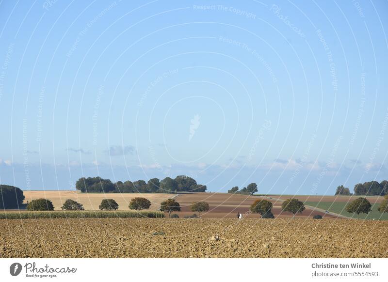 Die Spaziergängerinnen Landschaft Panorama (Aussicht) Felder Bäume Landstraße blauer Himmel Wolken Herbst Herbststimmung Natur Farbfoto Schönes Wetter Horizont