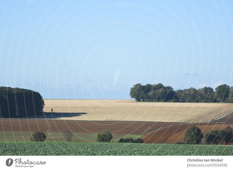 sonnige Landschaft mit drei Hochsitzen und einem Auto Panorama (Aussicht) blauer Himmel Landstraße Bäume Felder Wolken Herbst Herbststimmung Schönes Wetter